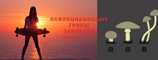 крисы Заводоуковск