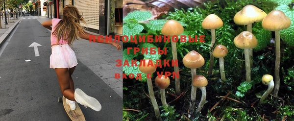 гидропоника Заволжье