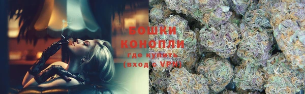 крисы Заводоуковск