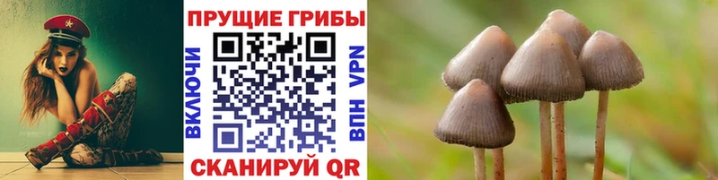 Псилоцибиновые грибы прущие грибы Купить закладки Кировград